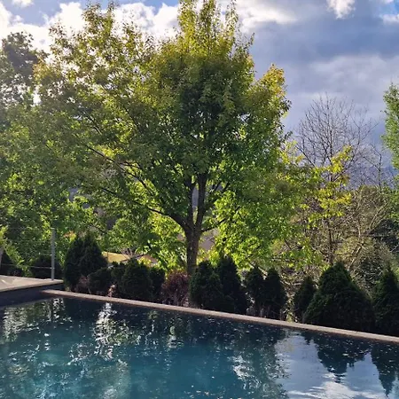 Alma Invicta Padroes I Montalegre